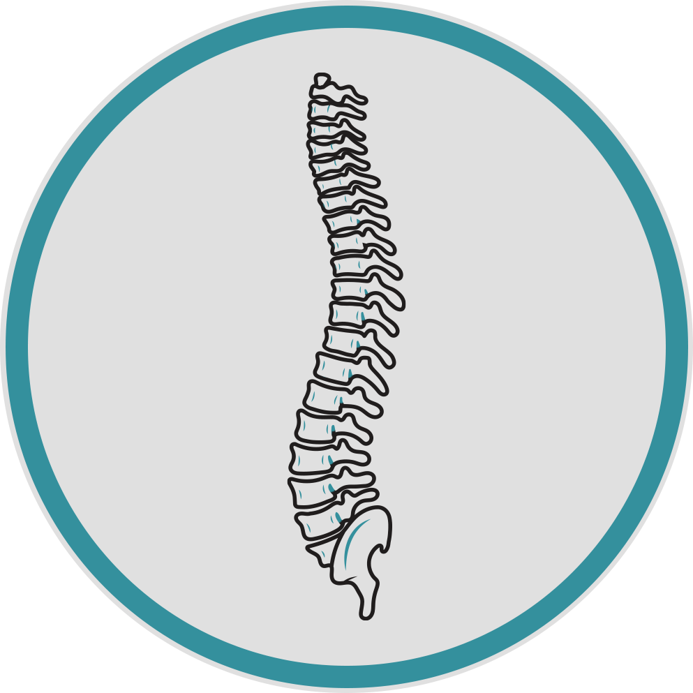 Spinal